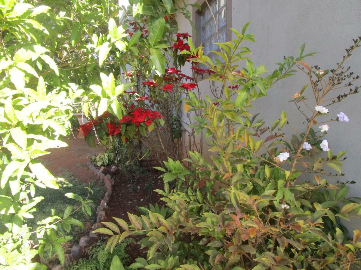 The Flat 52 On Davidson Villa Johannesburg Bagian luar foto